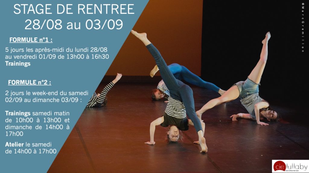 Travail du danseur sur le corps virtuose (renversement gravitate, théâtre physique, invitation à la danse, ...)