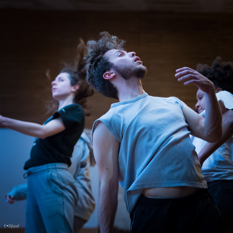 Danseurs en entraînement de danse contemporaine