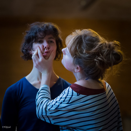 Formation professionnelle du danseur interprète en danse contemporaine
